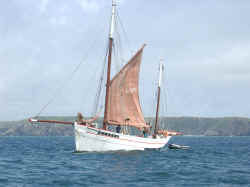 Belle-etoile.jpg (300410 octets)